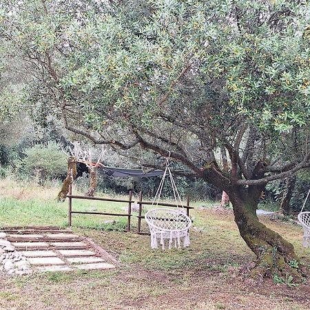 Villa Moradia rural de charme agradável e acolhedora Arrimal Exterior foto