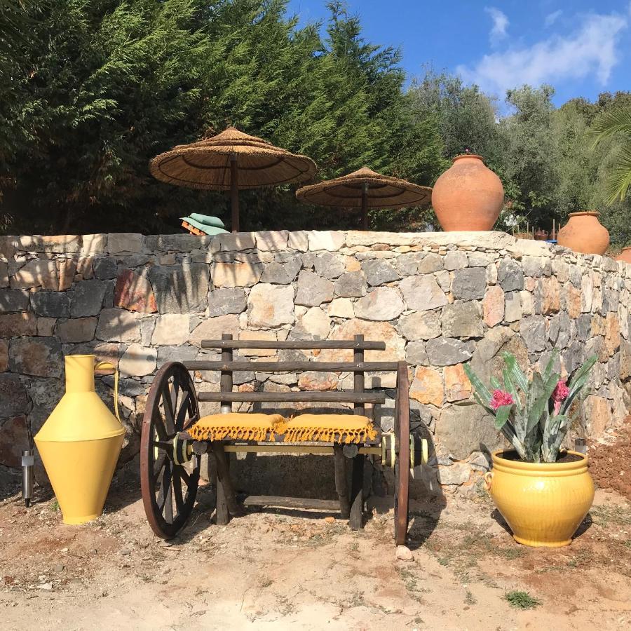 Villa Moradia rural de charme agradável e acolhedora Arrimal Exterior foto